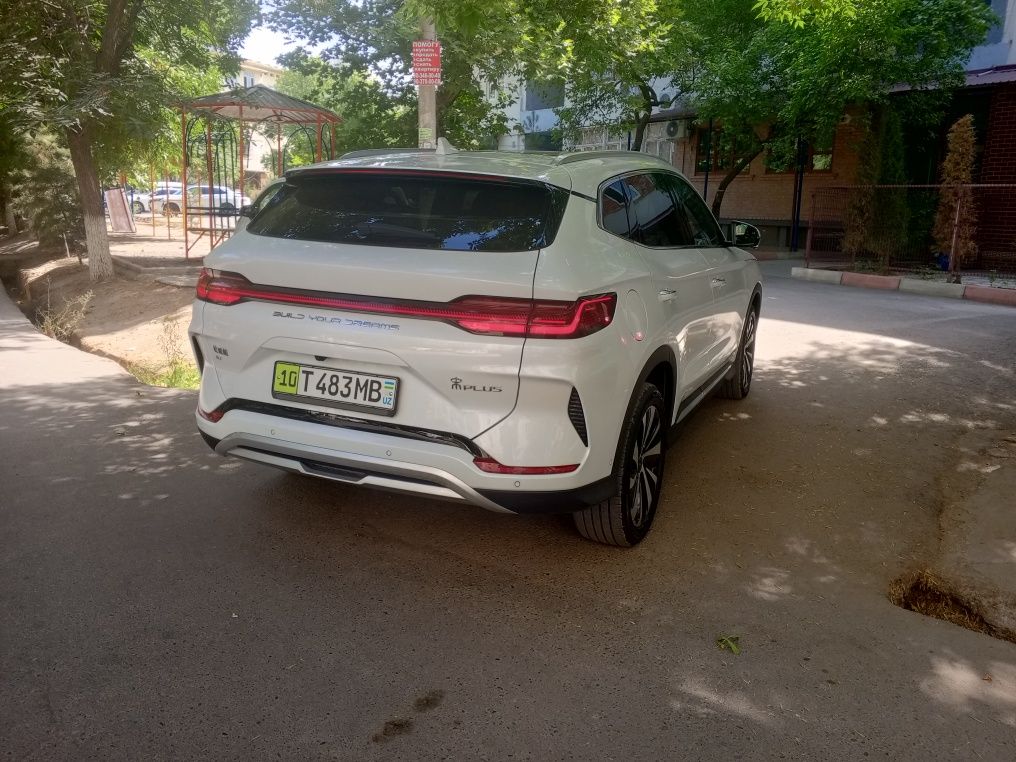 Byd chempion toza