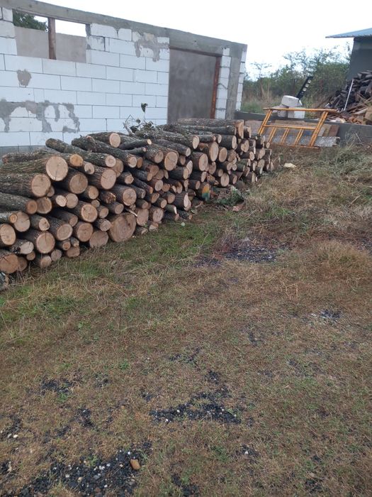 Lemne de foc, stejar