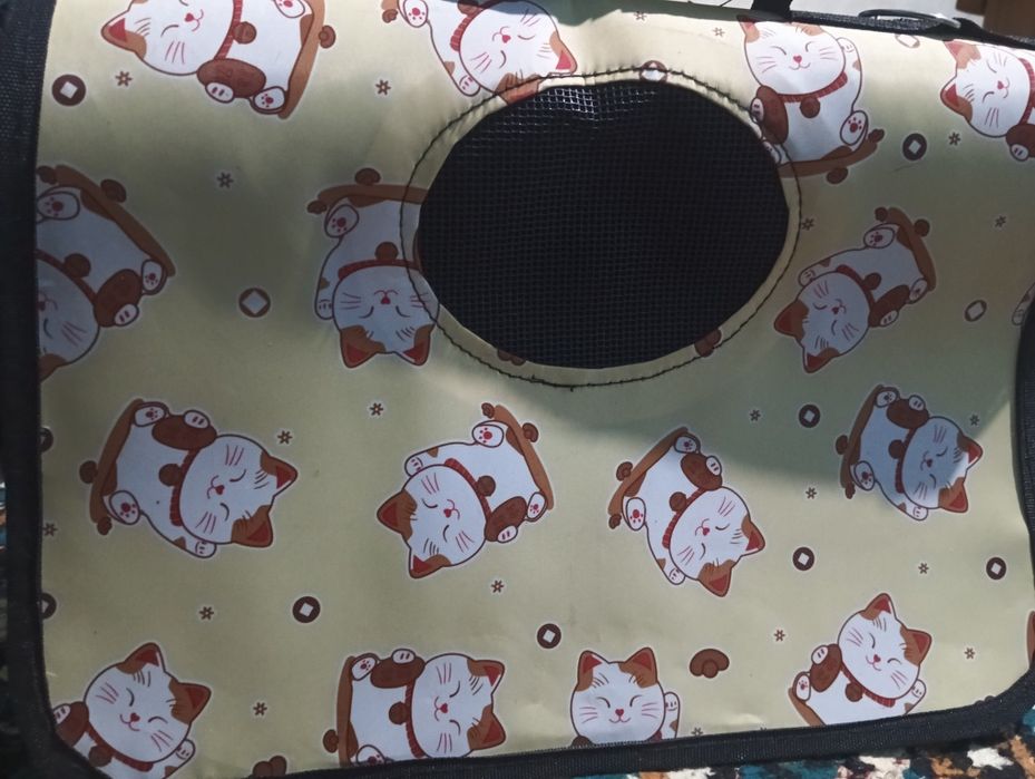 Mushuk paroda  1 yoshdan otgan sifatli