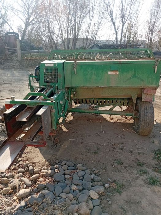 Прис  падборчик.