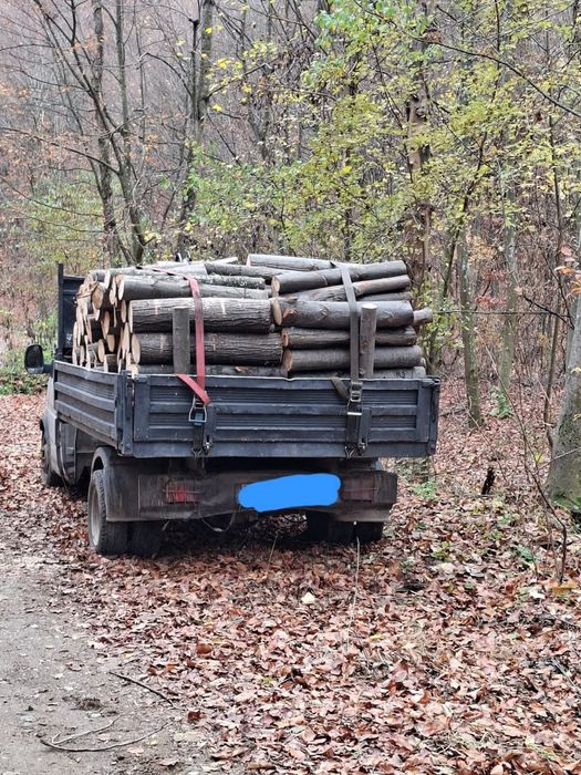 Vând lemn de foc tei 350 lei mc