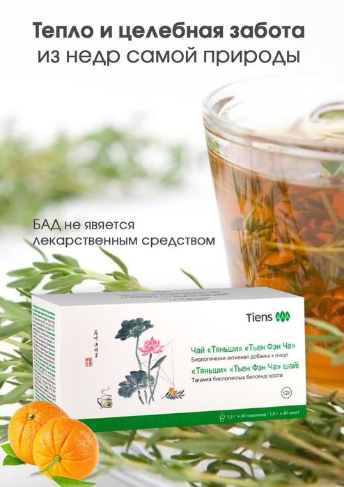 Тяньши и Тьен Фэн Ча