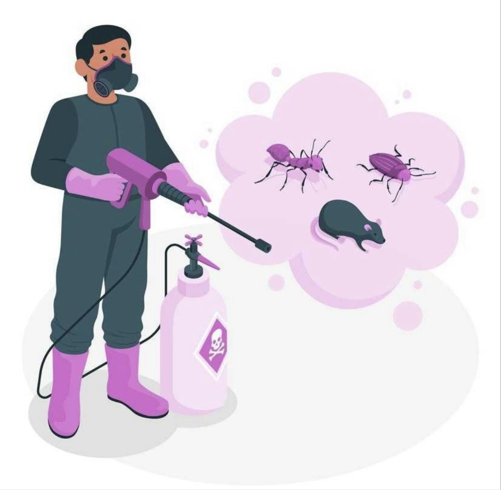 Chistodez.uz — профессиональная дезинсекция дезинфекция в Узбекистане