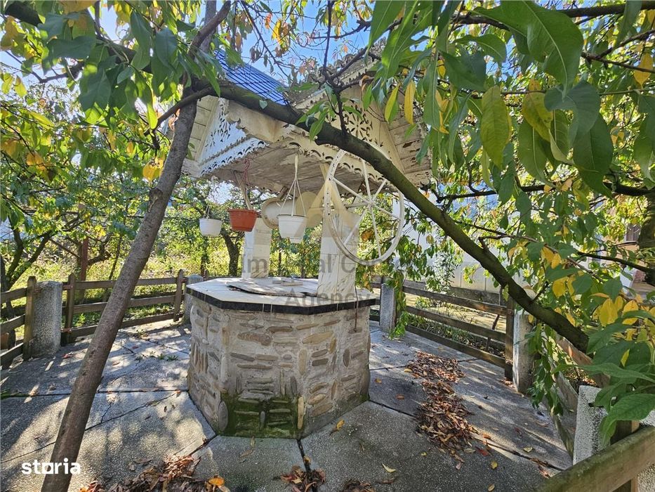 Casa Si Teren De Vanzare Borzesti-Onesti