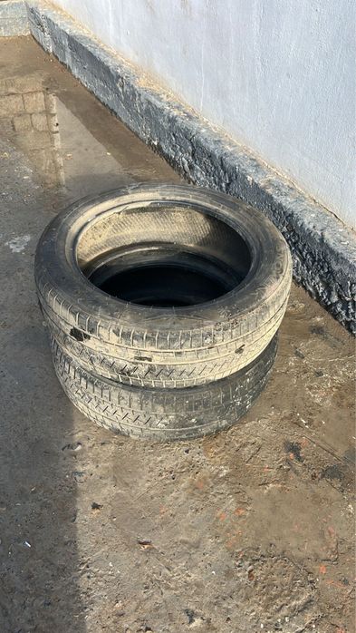 шиный 20 размер буу