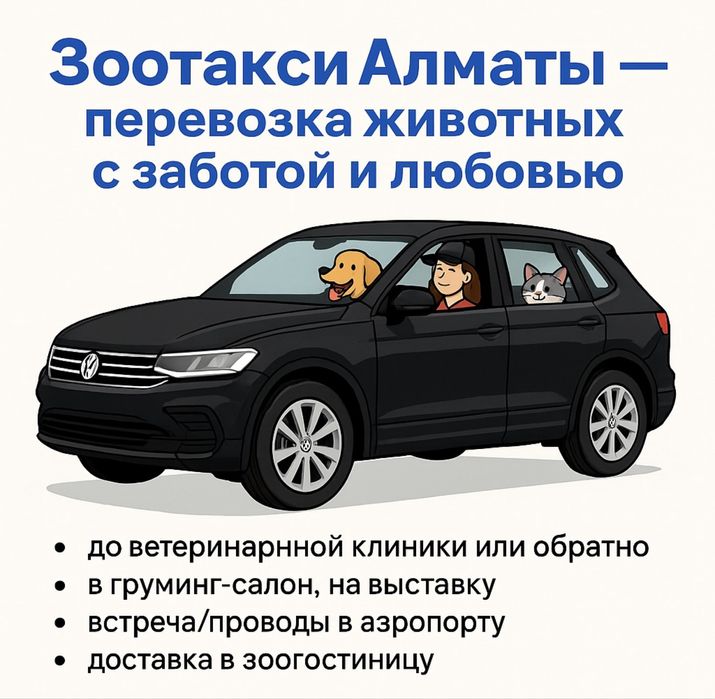 Зоотакси для кошек и собак