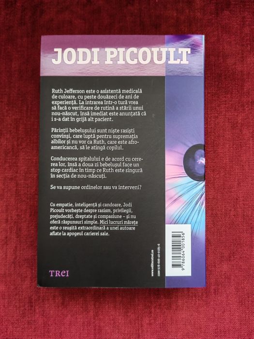 Jodi Picoult  Mici lucruri mărețe