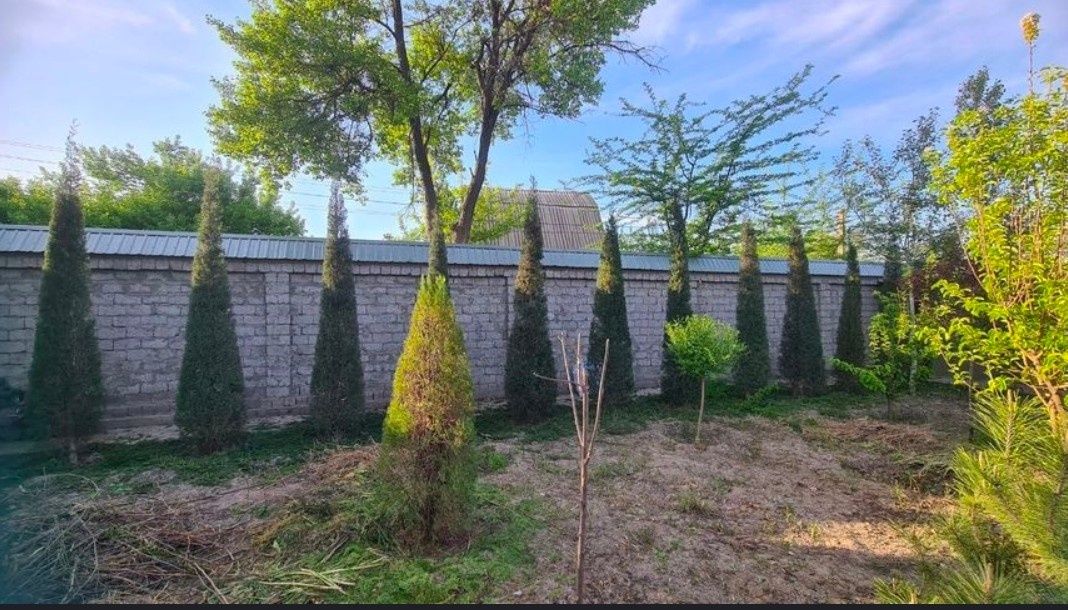 Продается дачный дом в янгиюльском районе