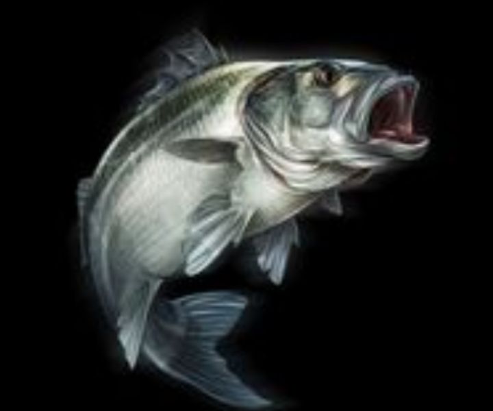 Части от Seat Leon 1.9 TDI 150 Hp 4×4