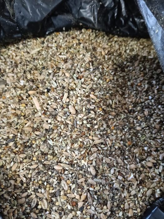 Продам зерноотход пшеницы с просо