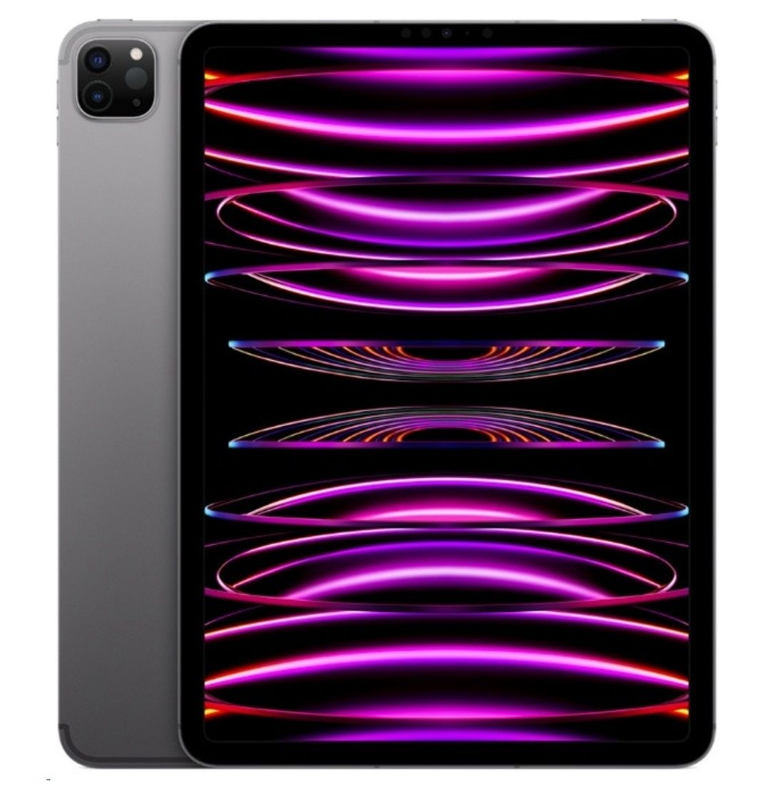 Ipad pro 11 M2 256gb