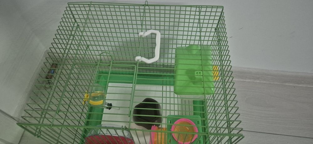 Cusca hamster echipata
