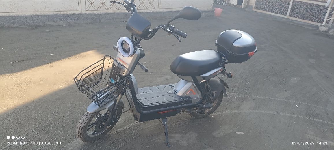 Holati alo darajada usta kormagan urulgan singan joyi yoq butun