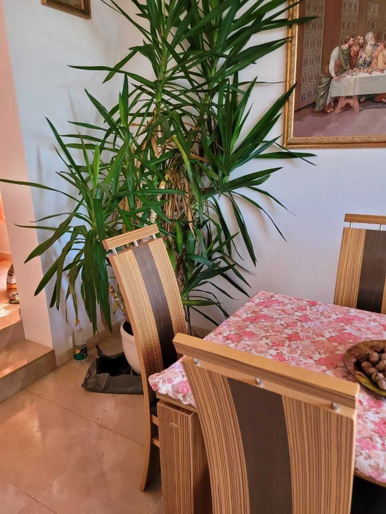 Продава се Къща в Бургас, Лазур - 178 кв.м за 1967 €/кв.м - Снимка #14