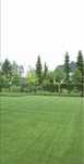Intretinere / tuns gazon / cosmetizare / plantare / consultanta