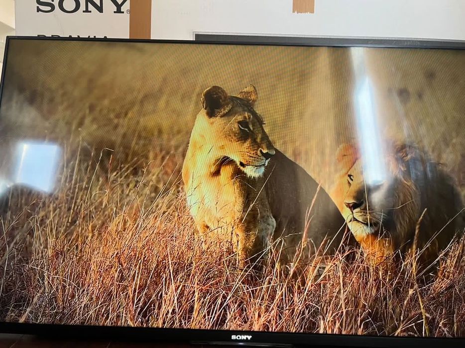 Sony 50” Smart Tv
