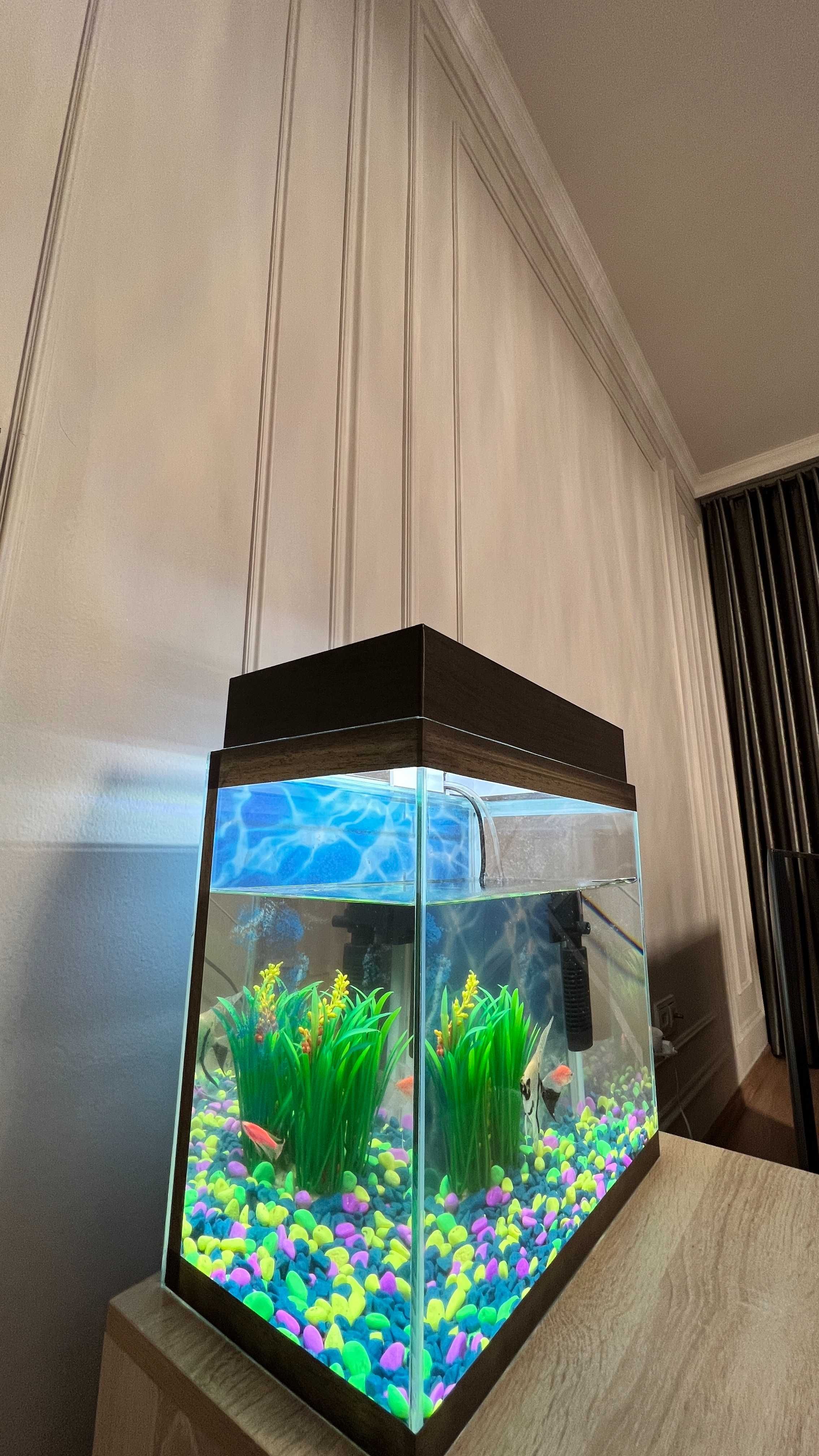Продам аквариум качественный 25 литров c красивыми дорогими рыбками