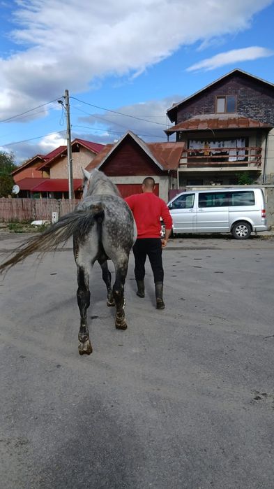 De vânzare!! !!!