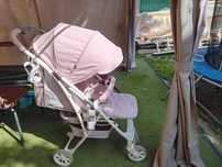 Carucior Eurocart roz