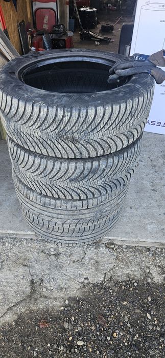 225 55 17 ms de iarna