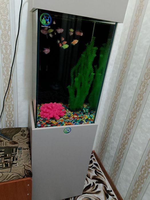 Akuarim sotiladi ichidigilari bilan