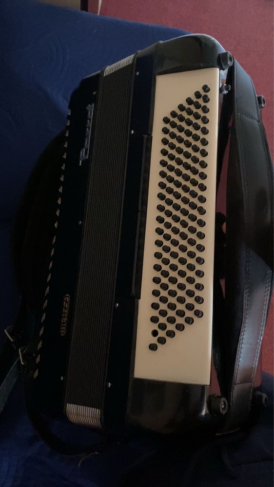 Vand acordeon parrot 120 basii