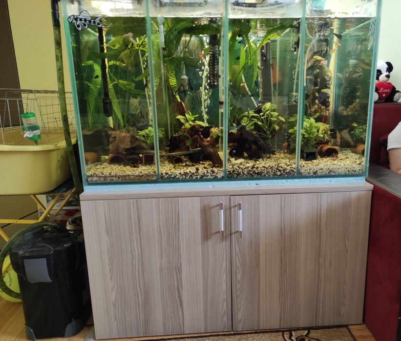 Продавам аквариум и шкаф