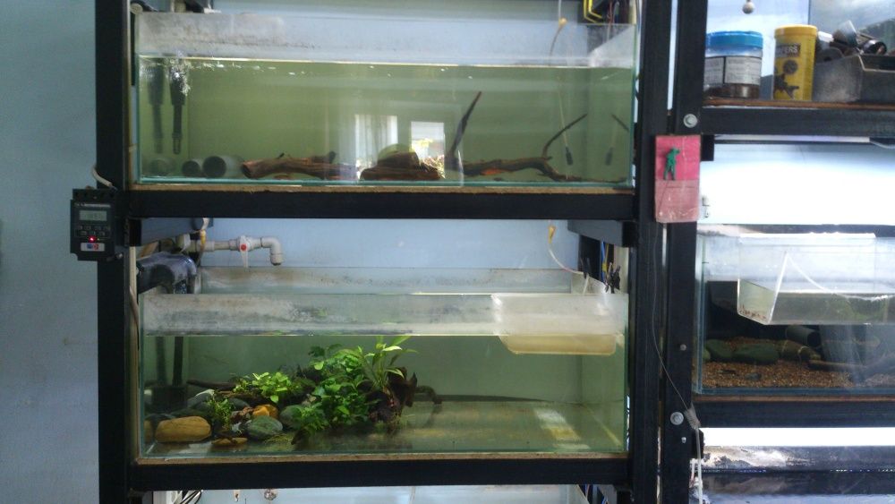 аквариум 135 литров