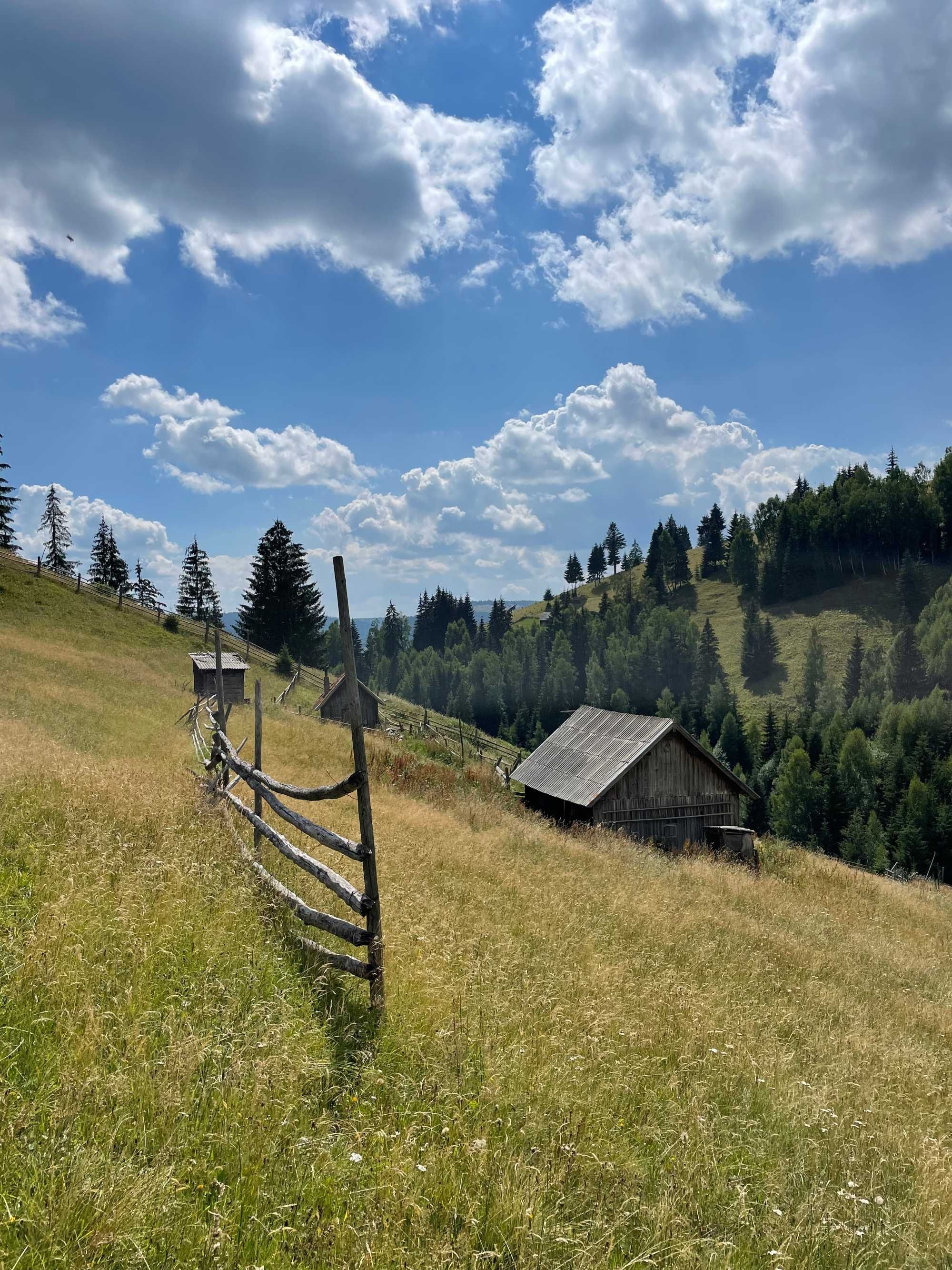 Ocazie! 17 Ha Hectare teren intravilan + extravilan in Fundu Moldovei