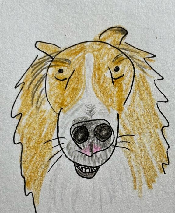 В Астане до 22 ноября разные товары для фото техники