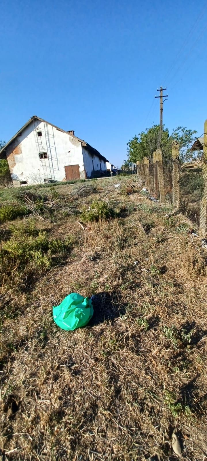 Hala de închiriat Suceava