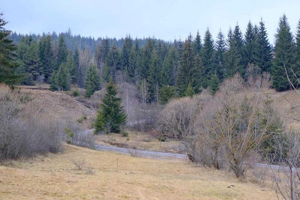 Teren intravilan/extravilan în Municipiul Toplița, Jud. Harghita