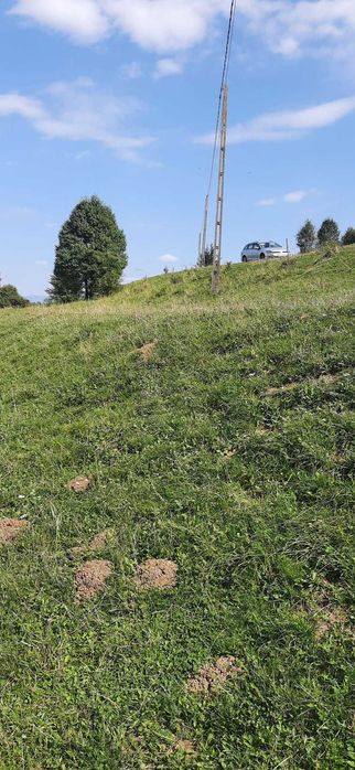 Vând teren intravilan 2500mp