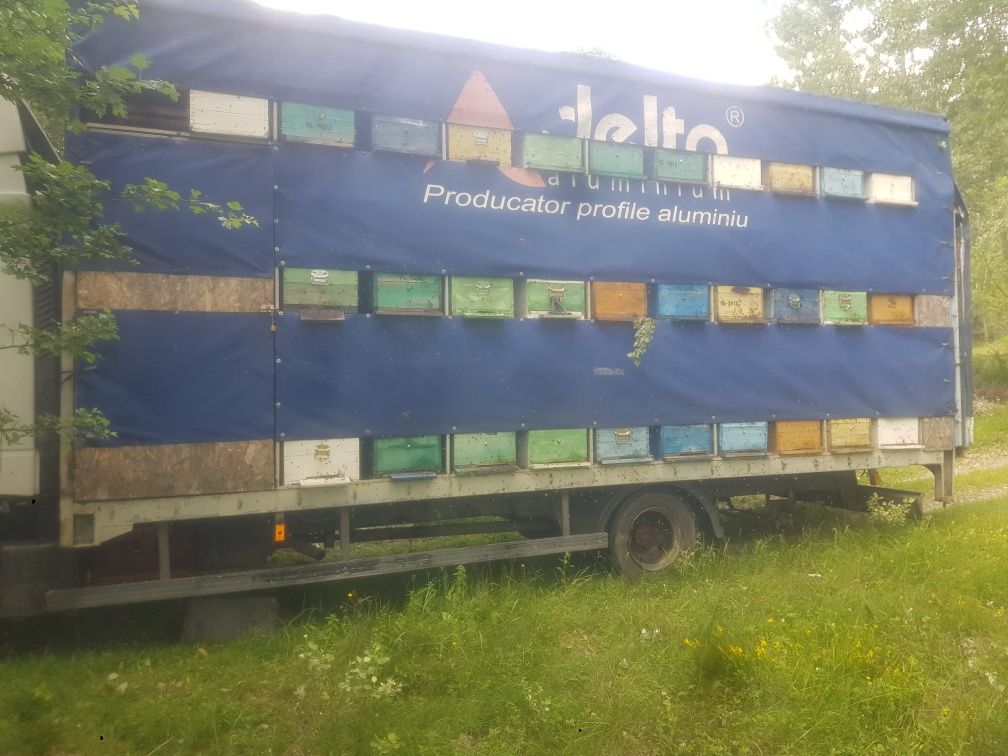 Stupină de vanzare