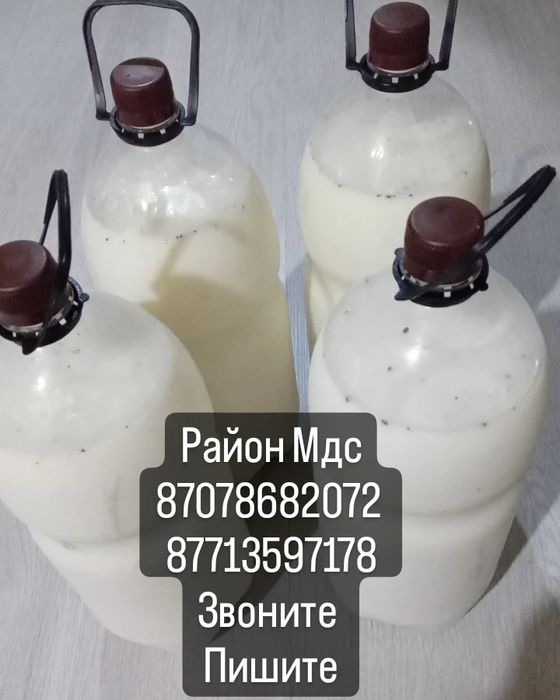 Продам баянаульский кумыс