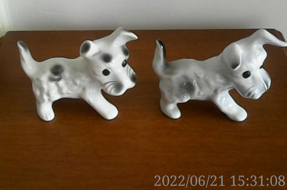 Catelusi Portelanul Alba Iulia