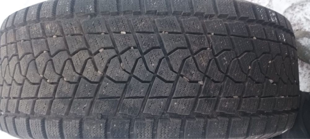 Шины Triangle Winter