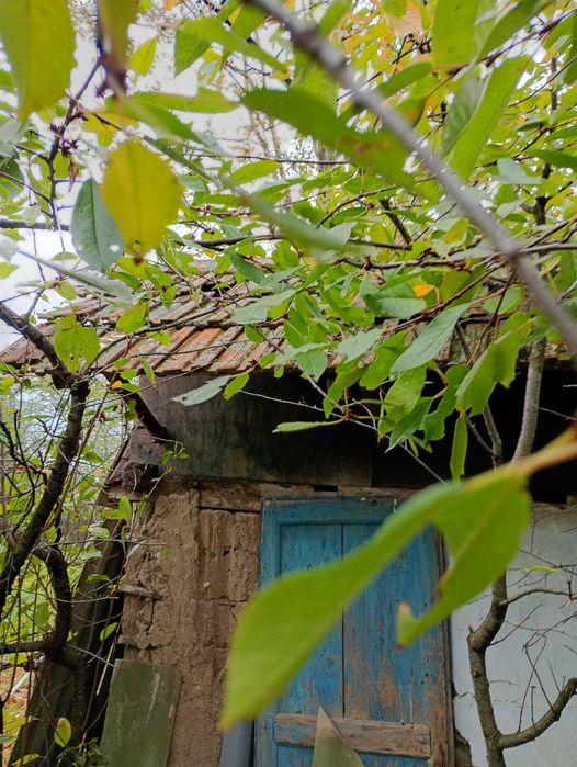 Donez tigla pentru acoperis