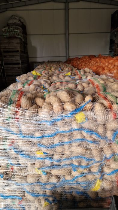 Ceapa Cartofi pere mere morcov import