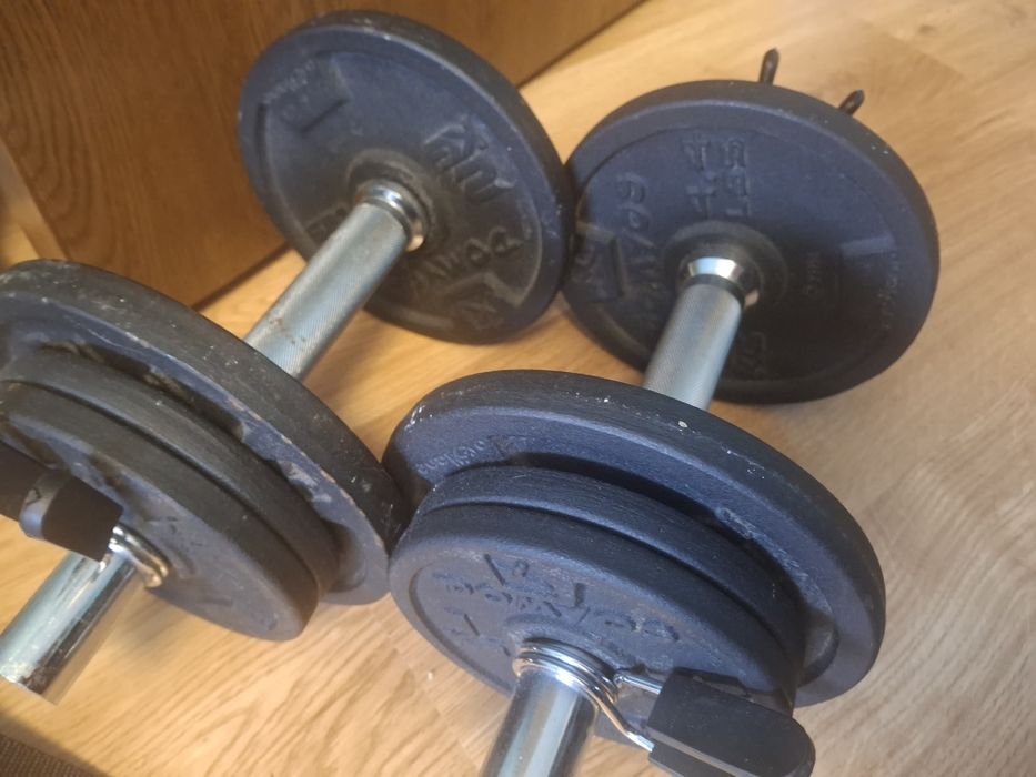Gantere 2x10      20 kg reglabile