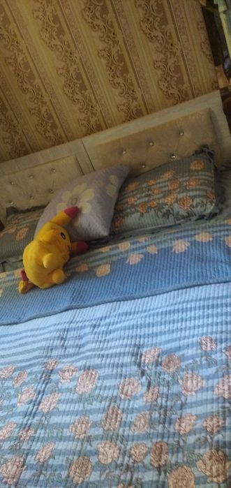 Qizlarga kvartir sheriklekka