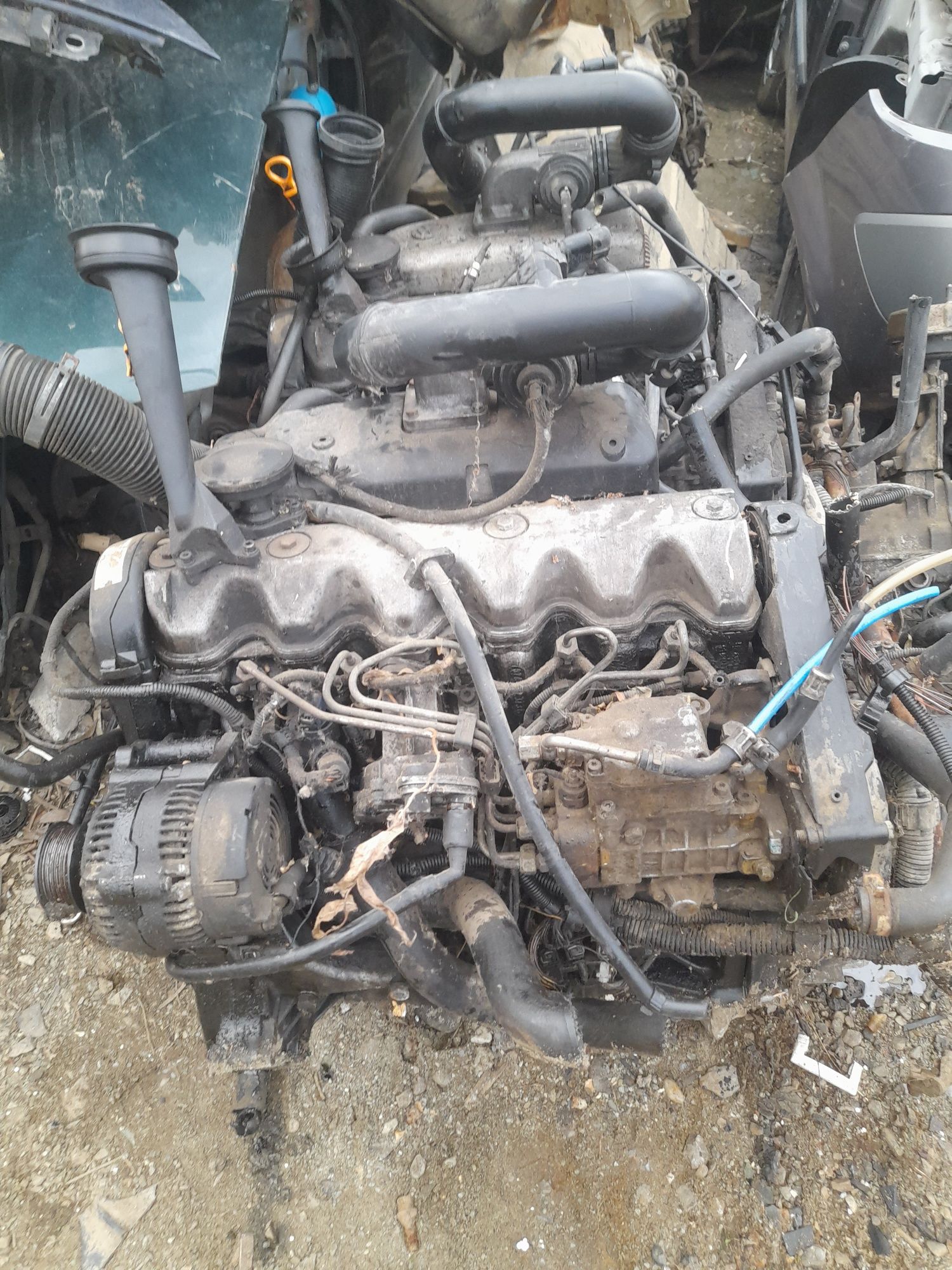 Vand motor dini t4 2.5 TDI ajt