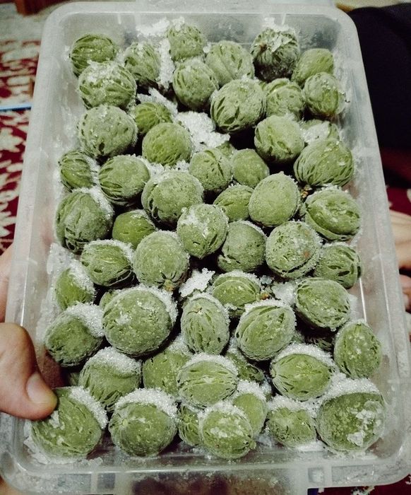 Dovcha, Koksulton, Ravoch bor holol