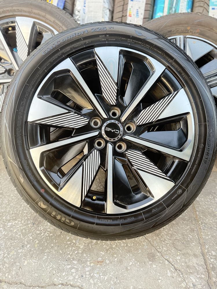 Byd Chimpion model new диски