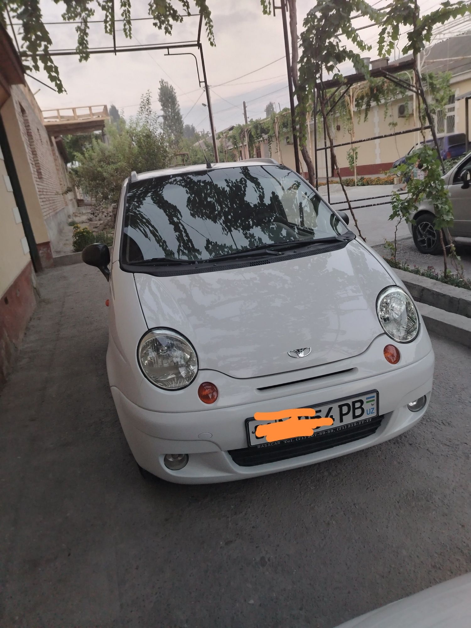 Gedravlikasi bor