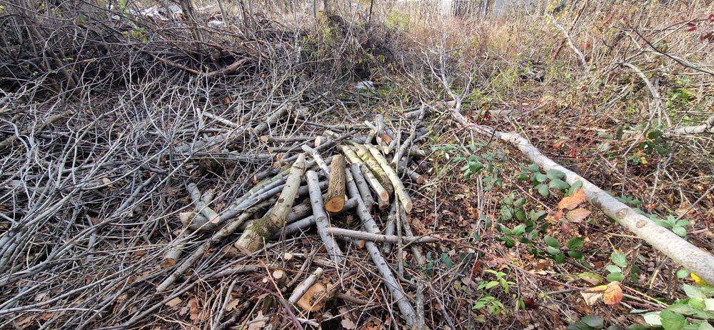Безплатно/ Дърва за огрев различни видове,нарязани.