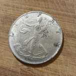 Ofer moneda Fine Silver-One Dollar . UNITED STATES OF AMERICA 1906