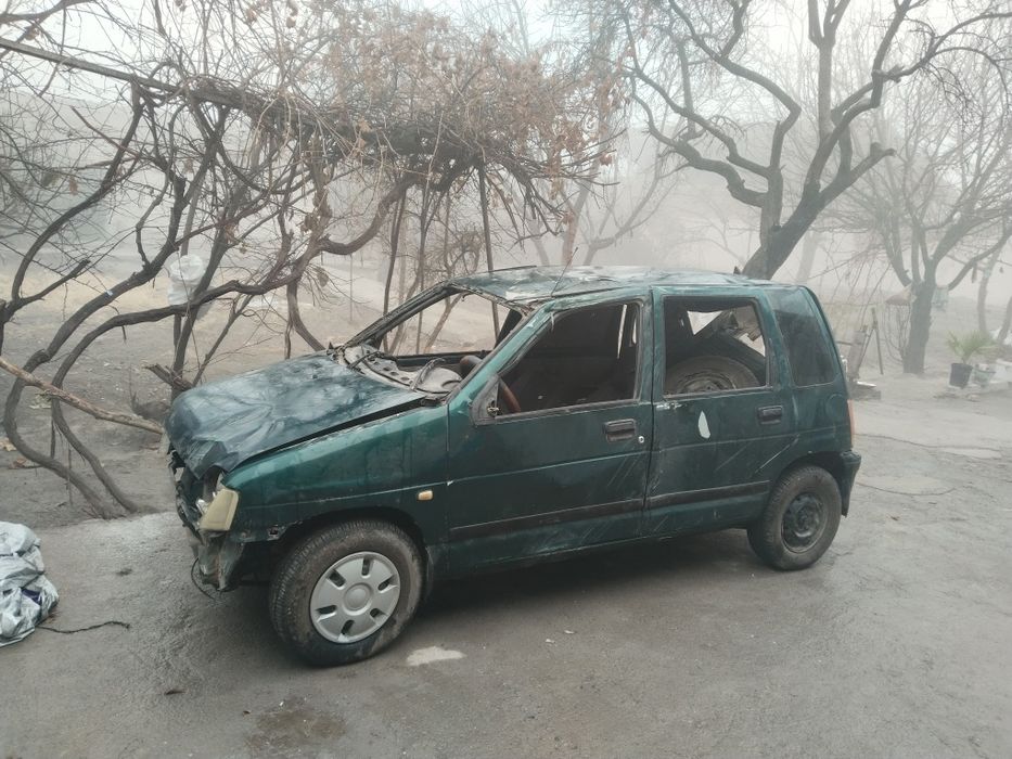 Tiko zoʻr xolatda kuzipini xisopga olmaganda