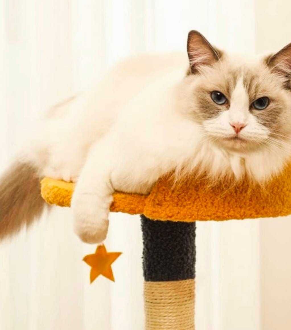 Стабилна плюшена котешка катерушка