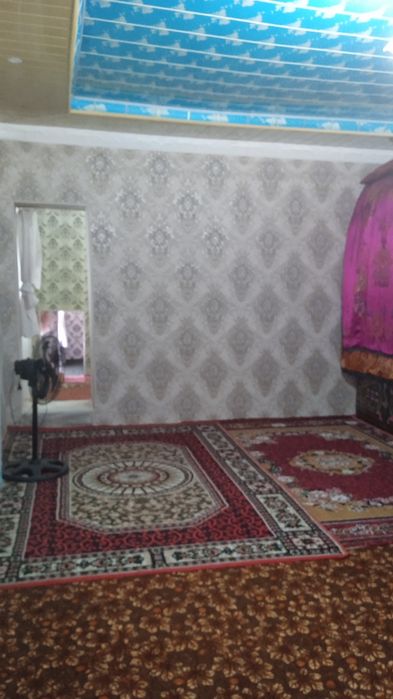 Hovli kadastir bilan